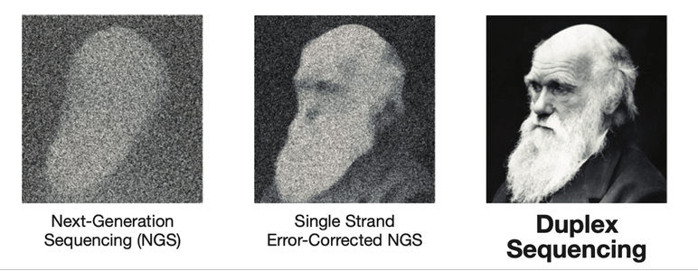 Charles Darwin in three pictures: blurry on the left showing vanilla NGS, in the middle slightly more clear with single-strand error-corrected NGS, and on the right very clear with duplex sequencing.  From : Novel DNA Standards for Assessing Technical Sensitivity and Reproducibility Duplex Sequencing Mutagenesis Assays. TwinStrand Biosciences. Retrieved May 20 2024.